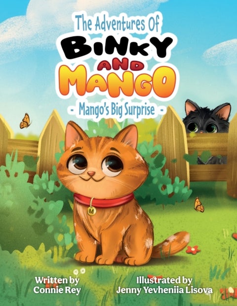 THE ADVENTURES OF BINKY AND MANGO - MANGO'S BIG SURPRISE