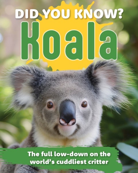 Did You Know? Koalas - The full low-down on the world's cuddliest critter