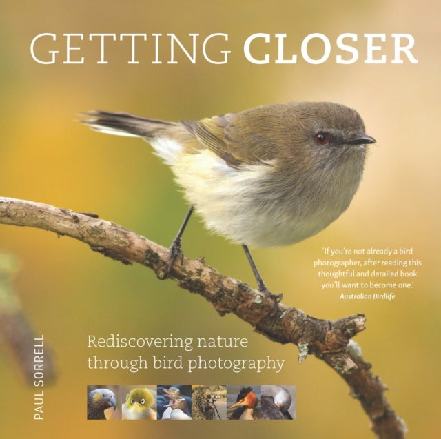 Getting Closer - Rediscovering Nature Through Bird Photography