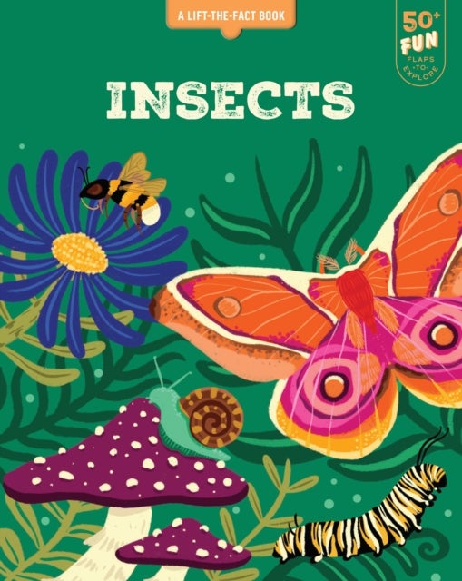 Lift the Fact: Insects - A Lift the Fact Book