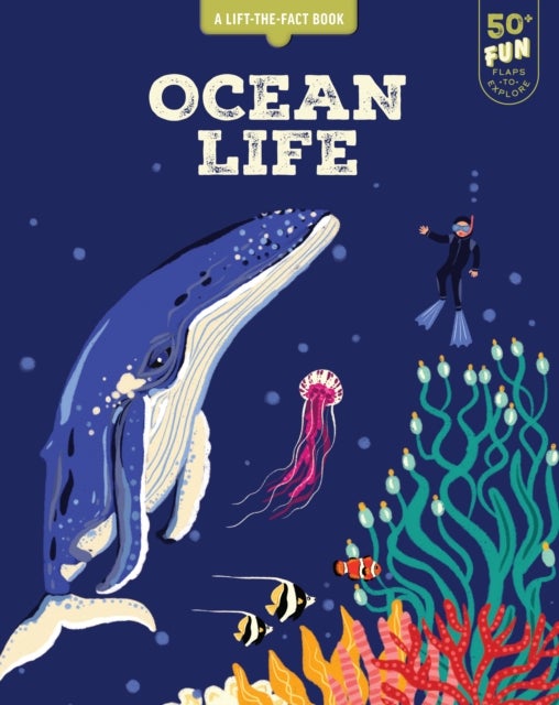 Lift the Fact: Ocean Life - A Lift the Fact Book