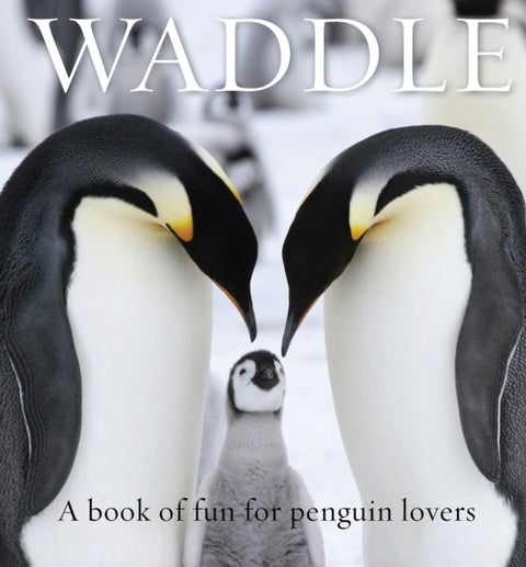Waddle - A Book of Fun for Penguin Lovers