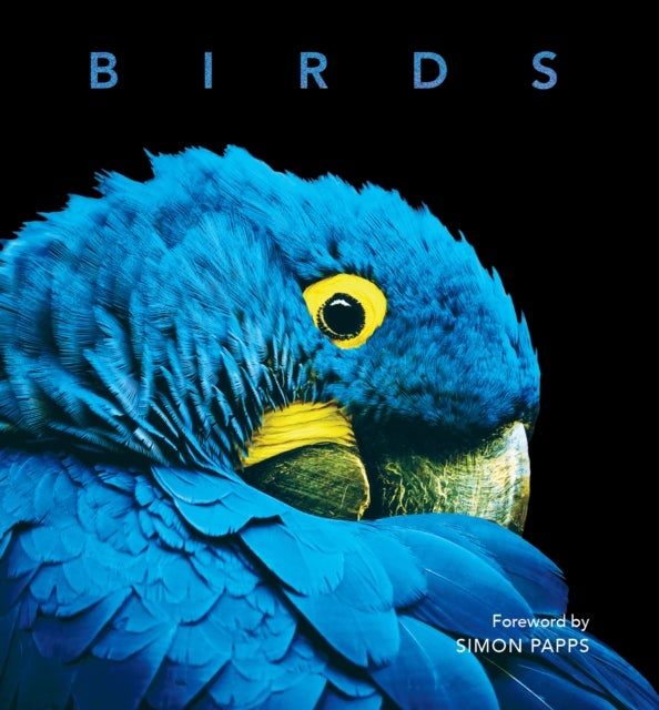 Birds - Deluxe Series