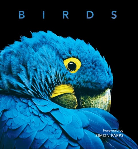 Birds - Deluxe Series