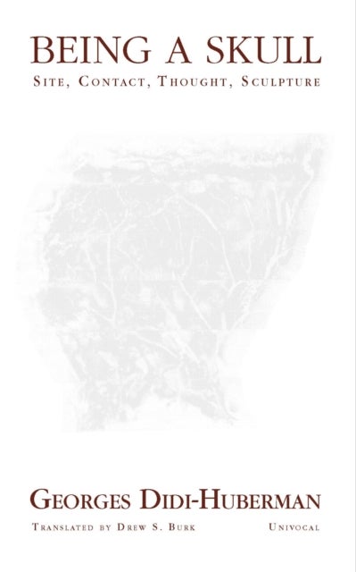 Being a Skull - Site, Contact, Thought, Sculpture