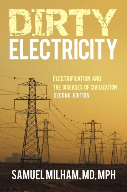 Dirty Electricity - Electrification and the Diseases of Civilization