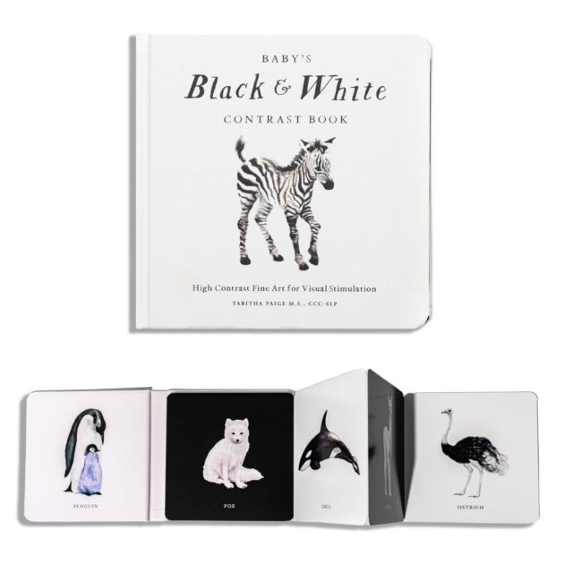 Baby's Black and White Contrast Book - High-Contrast Art for Visual Stimulation at Tummy Time