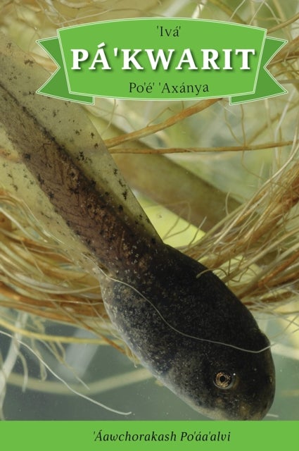Iva' Pa'kwarit Po'e' 'Axanya - English Translation: How the Tadpole Got its Legs