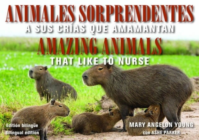 Animales Sorprendentes / Amazing Animals - English & Spanish Bilingual Edition - Que Amamantan a Sus Crias / That Like to Nurse