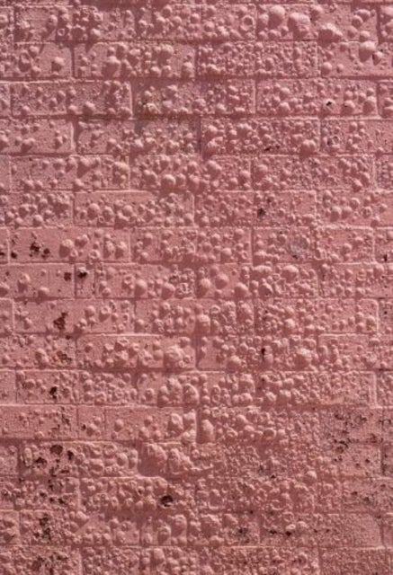 Californian Wildflowers