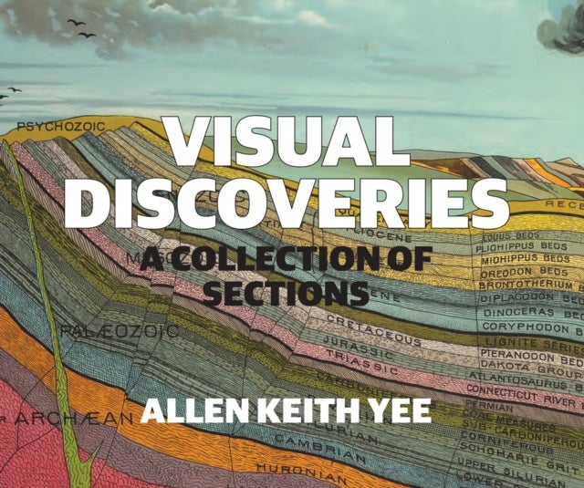 Visual Discoveries - A Collection of Sections