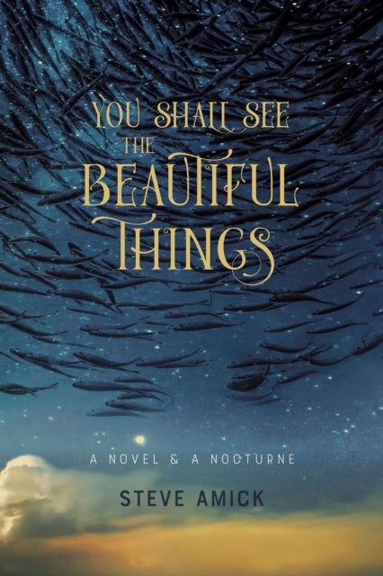 You Shall See the Beautiful Things ¿ A Novel & A Nocturne