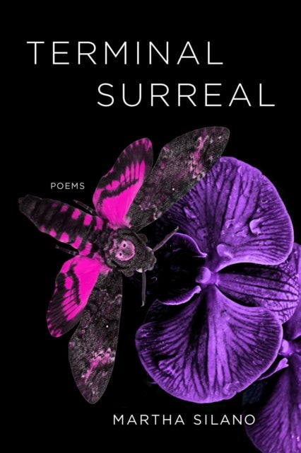 Terminal Surreal - Poems