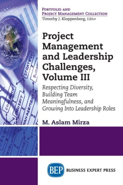 Project Management and Leadership Challenges, Volume III - Respecting Diversity, Building Team Meaningfulness, and Growing Into Leadership Roles