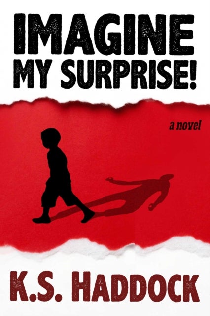 Imagine My Surprise! - A Novel