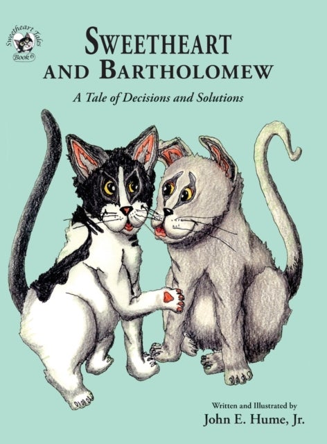 Sweetheart and Bartholomew - A Tale of Decisions and Solutions