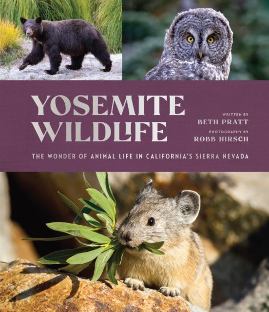 Yosemite Wildlife - The Wonder of Animal Life in California's Sierra Nevada