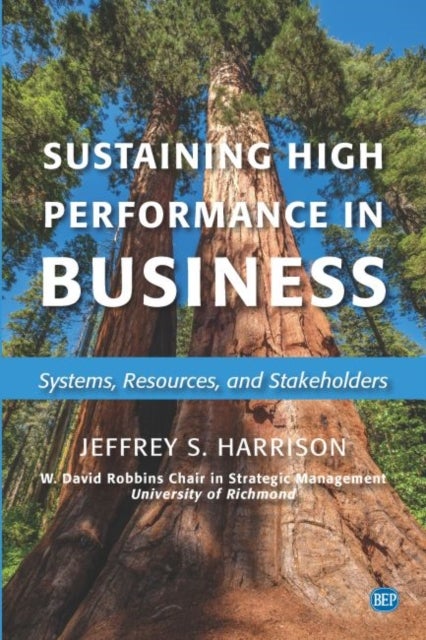 Sustaining High Performance in Business - Systems, Resources, and Stakeholders