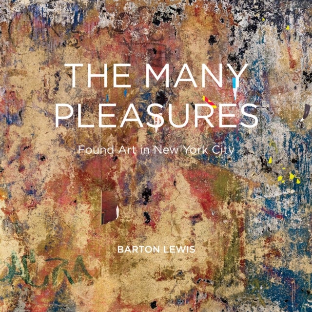 Urban Treasures - The Found Art of New York City