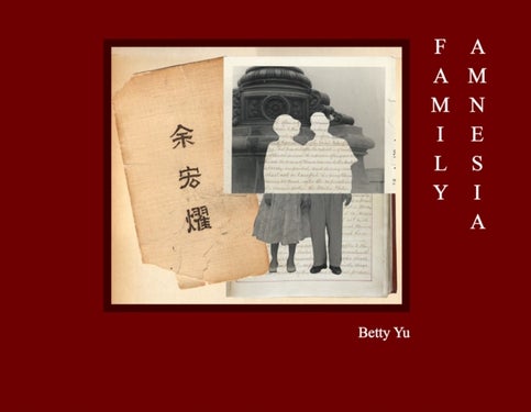 Family Amnesia - Chinese American Resilience