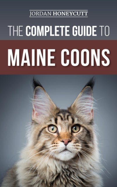 The Complete Guide to Maine Coons - Finding, Preparing for, Feeding, Training, Socializing, Grooming, and Loving Your New Maine Coon Cat