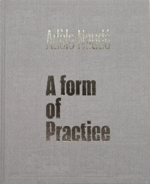 Adele Naude - A Form of Practice