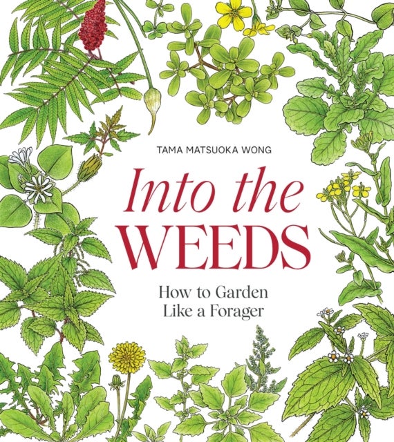 Into the Weeds - How to Garden Like a Forager