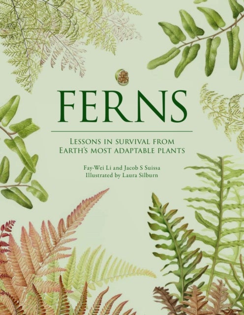 Ferns - Lessons in Survival From Earth’s Most Adaptable Plants