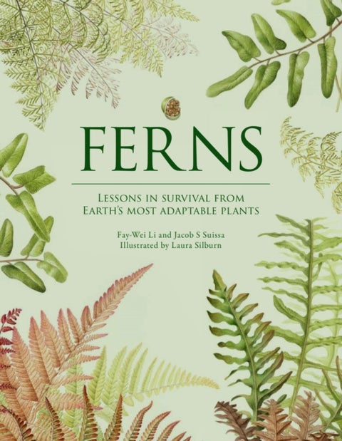 Ferns - Lessons in Survival From Earth’s Most Adaptable Plants