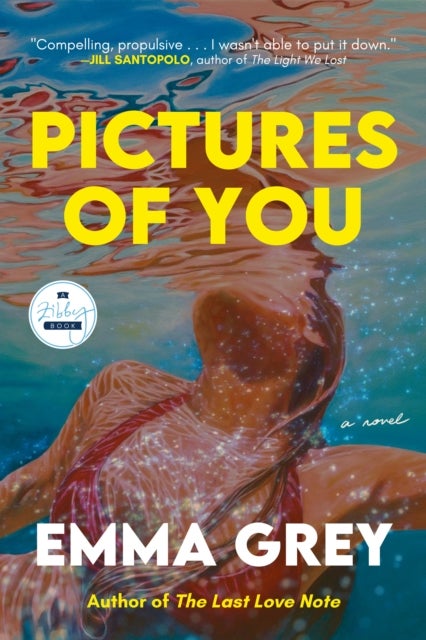 Pictures of You - A Novel
