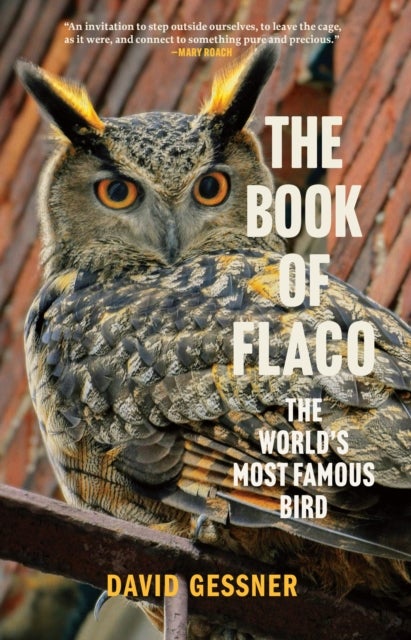 The Book of Flaco - A Parable of the Urban Wild