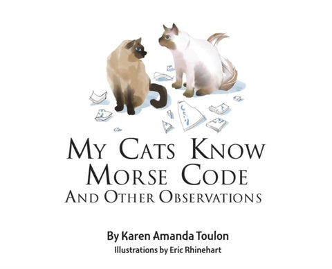 My Cats Knows Morse Code And Other Observations