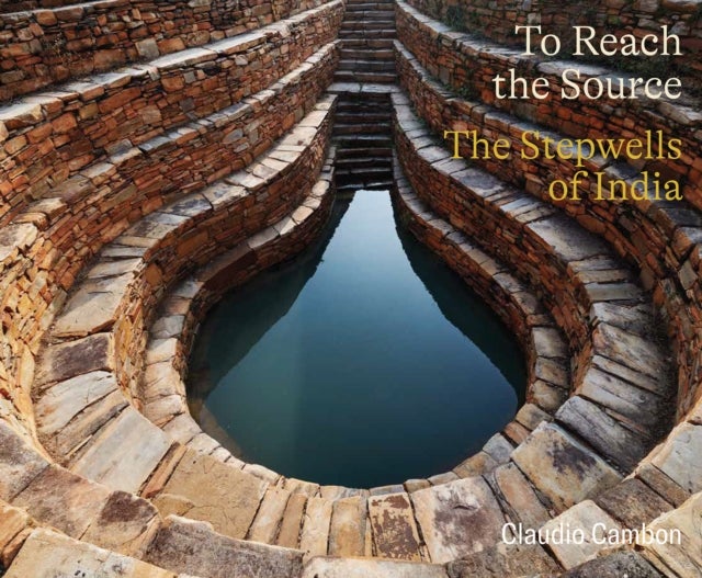 To Reach the Source - The Stepwells of India