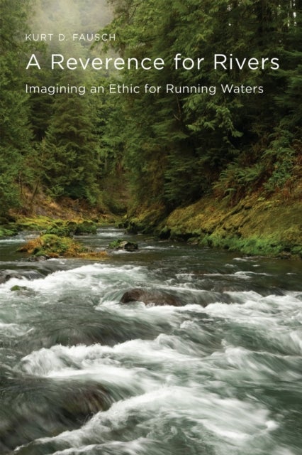 A Reverence for Rivers - Imagining an Ethic for Running Waters