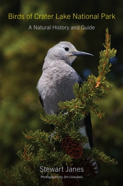 Birds of Crater Lake National Park - A Natural History and Guide