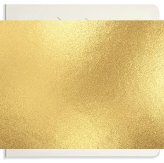 Our Big Book of Animals - First 100 Animal Words for Language Development, including Farm, Jungle, Pets, Bugs, and More