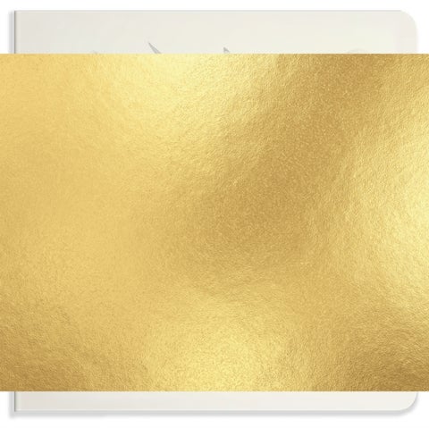 Our Big Book of Animals - First 100 Animal Words for Language Development, including Farm, Jungle, Pets, Bugs, and More