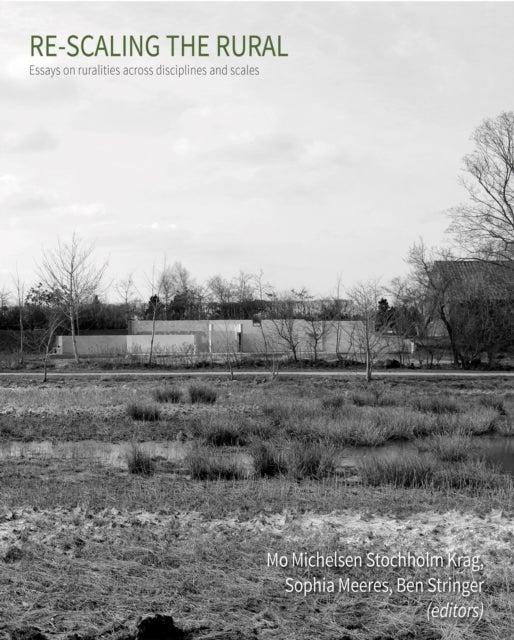 Re-scaling the Rural - Essays on ruralities across disciplines and scales