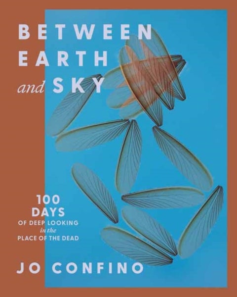 Between Earth and Sky - 100 Days of Deep Looking in the Place of the Dead