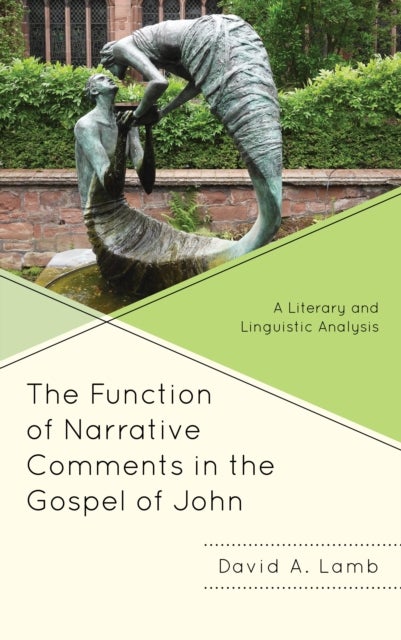 The Function of Narrative Comments in the Gospel of John - A Literary and Linguistic Analysis
