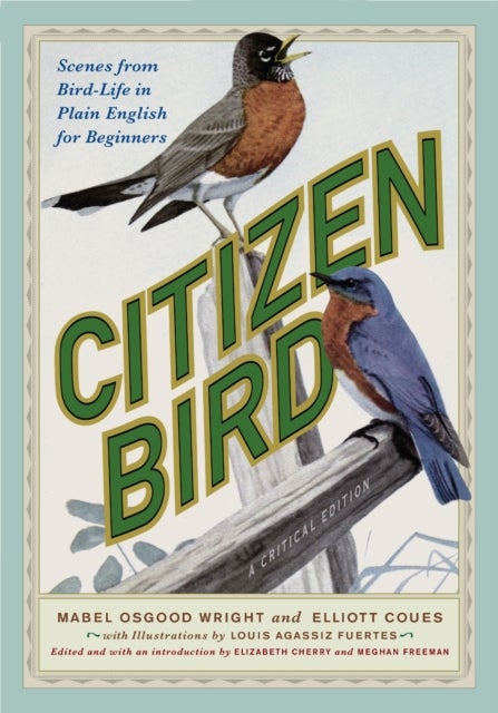 Citizen Bird - Scenes from Bird-Life in Plain English for Beginners, a Critical Edition