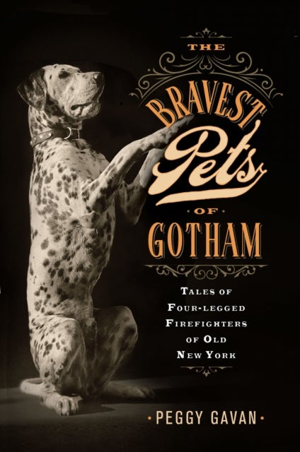 The Bravest Pets of Gotham - Tales of Four-Legged Firefighters of Old New York