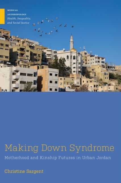 Making Down Syndrome - Motherhood and Kinship Futures in Urban Jordan