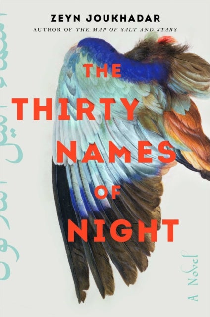 Thirty Names of Night - A Novel