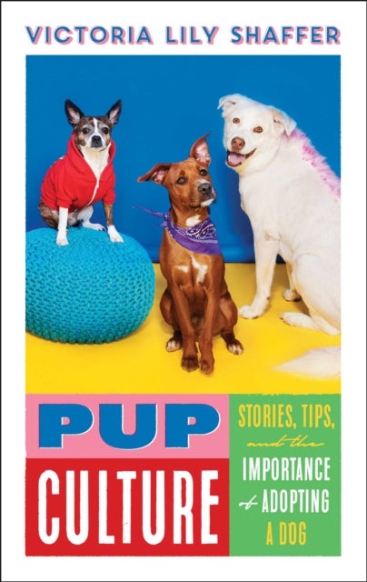 Pup Culture - Stories, Tips, and the Importance of Adopting a Dog
