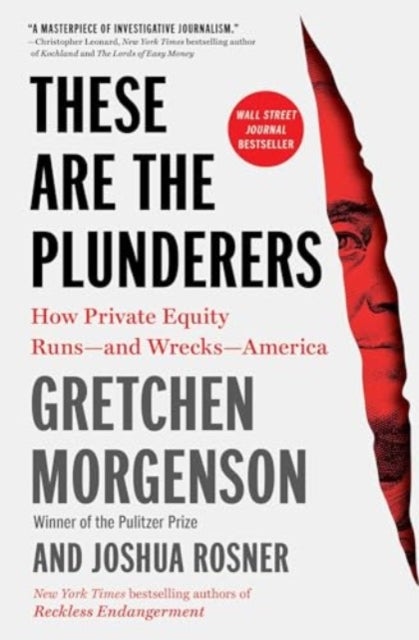 These Are the Plunderers - How Private Equity Runs—and Wrecks—America