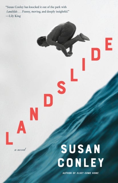Landslide - A novel