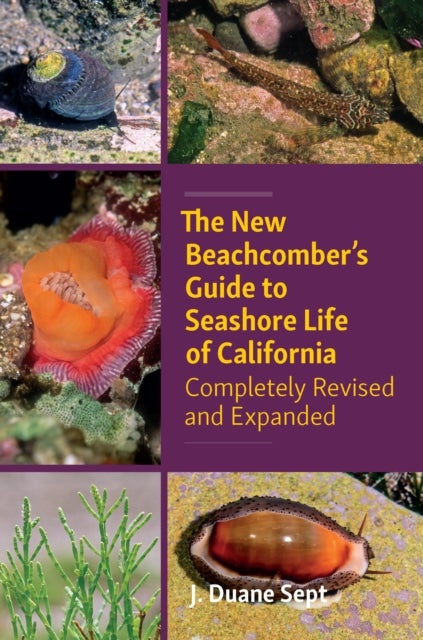 The New Beachcombers Guide to Seashore Life of Californi - Completely Revised and Expanded 2023