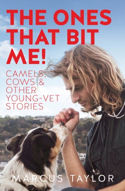 The Ones That Bit Me! - Camels, cows and other young-vet stories