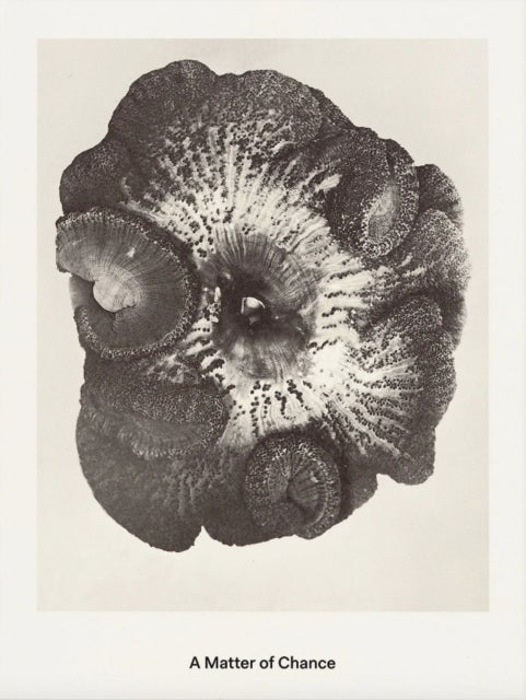 A Matter of Chance